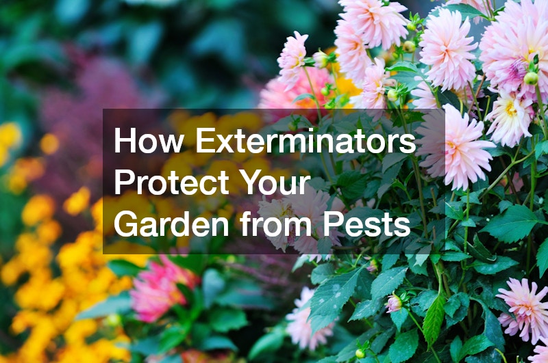 How Exterminators Protect Your Garden from Pests