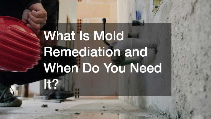 What Is Mold Remediation and When Do You Need It?
